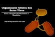 Organização Gênica dos Seres Vivos Genes e Genomas de Procariotos e Eucariotos Prof. Henrique Santana Costa, M.Sc