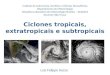 Ciclones tropicais, extratropicais e subtropicais Luiz Felippe Gozzo Instituto de Astronomia, Geofísica e Ciências Atmosféricas Departamento de Meteorologia