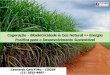 Cogeração – Bioeletricidade & Gas Natural >> Energia Positiva para o Desenvolvimento Sustentável Leonardo Caio Filho – COGEN (11) 3815-4887 - leonardo.caio@cogen.com.br