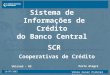 19/07/2003 Porto Alegre Sistema de Informações de Crédito do Banco Central SCR Cooperativas de Crédito Unicred - RS Vânio Cesar Pickler Aguiar