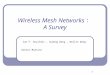 1 Wireless Mesh Networks A Survey Ian F. Akyildiz, Xudong Wang, Weilin Wang Daniel Martins