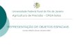 REPRESENTAÇÃO DE OBJETOS ESPACIAIS Agricultura de Precisão – CPGA-Solos Carlos Alberto Alves Varella-2007 Universidade Federal Rural do Rio de Janeiro