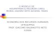 O MODELO DE HOLMSTROM & MILGROM (1991) MORAL HAZARD WITH SEVERAL TASKS ECONOMIA DOS RECURSOS HUMANOS UFRGS/PPGE PROF. GIÁCOMO BALBINOTTO NETO II/2004