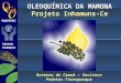 OLEOQUMICA DA MAMONA Projeto Inhamuns-Ce Governo do Cear â€“ Secitece Padetec-Tecnoparque