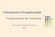 Introdução à Programação Fundamentos de Hardware Prof. Filipo Studzinski Perotto 2009