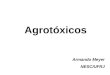 Agrotóxicos Armando Meyer NESC/UFRJ. É veneno ou remédio? Pesticidas Praguicidas Defensivos agrícolas Agrotóxicos