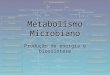 Metabolismo Microbiano Produção de energia e biossíntese