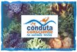 Conduta Consciente em Ambientes Recifais Procure conhecer as riquezas e belezas existentes nos recifes de coral através do mergulho, mas antes busque