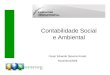 Contabilidade Social e Ambiental Cesar Eduardo Stevens Kroetz Novembro/2009