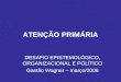 ATENÇÃO PRIMÁRIA DESAFIO EPISTEMOLÓGICO, ORGANIZACIONAL E POLÍTICO Gastão Wagner – março/2006