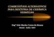 COMBUSTÍVEIS ALTERNATIVOS PARA INDÚSTRIA DE CERÂMICA VERMELHA Eng° João Martins Cortez de Alencar Maceió - Junho / 2004