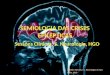 SEMIOLOGIA DAS CRISES EPILEPTICAS Hipólito Nzwalo, I.C. Neurologia, H.Faro Maio, 2010 Sessões Clínicas, S. Neurologia, HGO