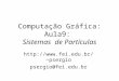 Computação Gráfica: Aula9: Sistemas de Partículas psergio psergio@fei.edu.br