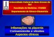 Inflamações na placenta Corioamnionite e vilosites Aspectos clínicos Universidade Federal de Mato Grosso do Sul Faculdade de Medicina - FAMED Departamento