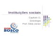 Instituições sociais Capítulo 11 Sociologia Prof. Gildo Júnior