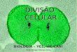 DIVISÃOCELULAR BIOLOGIA – YES, WE CAN! Prof. Thiago Moraes Lima