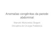 Anomalias congênitas da parede abdominal Marcelo Marcondes Stegani Disciplina de Cirurgia Pediátrica