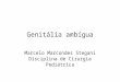 Genitália ambígua Marcelo Marcondes Stegani Disciplina de Cirurgia Pediátrica