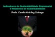 Indicadores de Sustentabilidade Empresarial e Relatórios de Sustentabilidade - Profa. Camila Krohling Colnago Indicadores de Sustentabilidade Empresarial