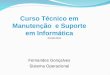 Curso Técnico em Manutenção e Suporte em Informática Fernandes Gonçalves Sistema Operacional 24-08-2011