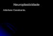 Neuroplasticidade Aderlane Cavalcante. A Plasticidade 1 m. Recupera a capacidade de deambular 1 m. Recupera a capacidade de deambular 3 m. Recupera a