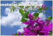 Constelação FamiliarConstelação Familiar Divaldo Franco / Joanna de Ângelis A família é a base fundamental sobre a qual se ergue o imenso edifício da