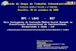 Reunião do Grupo de Trabalho Interministerial ( Portarias SEDH nº 351/08 e nº 606/08 ) Brasília, 04 de setembro de 2008 BPC / LOAS - B87 Novo Instrumento