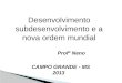 Desenvolvimento subdesenvolvimento e a nova ordem mundial Profº Neno CAMPO GRANDE - MS 2013