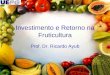 Investimento e Retorno na Fruticultura Prof. Dr. Ricardo Ayub