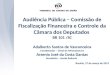 Audiência Pública – Comissão de Fiscalização Financeira e Controle da Câmara dos Deputados BR 101 /SC Adalberto Santos de Vasconcelos Coordenador – Geral