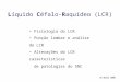 Líquido Céfalo-Raquídeo (LCR) Fisiologia do LCR Punção lombar e análise do LCR Alterações do LCR características de patologias do SNC 10 Abril 2008