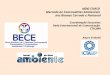 MINI CURSO Mercado de Commodities Ambientais nos Biomas Cerrado e Pantanal Coordenação Executiva: Rede Internacional de Comunicação CTA-JMA Amyra El Khalili
