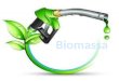Biomassa é o nome dado a qualquer combustível proveniente de fonte orgânica utilizado para a geração de energia elétrica. Desta forma, podemos classificar
