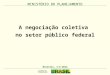 MINISTÉRIO DO PLANEJAMENTO A negociação coletiva no setor público federal MINISTÉRIO DO PLANEJAMENTO Brasília, 4-6-2012