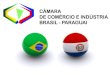 A Câmara de Comércio, Indústria e Turismo Brasil - Paraguai, tem como objetivos: 1)Cooperação com as autoridades competentes e associações empresariais