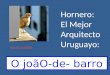 Hornero: El Mejor Arquitecto Uruguayo: O joãO-de- barro VAI CLICANDO