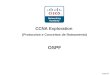 Kraemer CCNA Exploration (Protocolos e Conceitos de Roteamento) OSPF