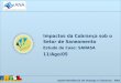Superintendência de Outorga e Cobrança - ANA Impactos da Cobrança sob o Setor de Saneamento Estudo de Caso: SANASA 11/Ago/05