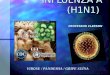 INFLUENZA A (H1N1) PROFESSOR CLERSON VIROSE / PANDEMIA / GRIPE SUNA
