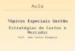 Tópicos Especiais Gestão Estratégias de Custos e Mercados Prof. João Carlos Bragança Aula
