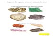 Aspecto de alguns minerais característicos Cores características de alguns minerais Variedades de quartzo Os Minerais