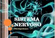 S ISTEMA N ERVOSO Prof. Regis Romero. O sistema nervoso é o mais complexo e diferenciado do organismo, sendo o primeiro a se diferenciar embriologicamente