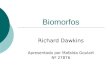 Biomorfos Richard Dawkins Apresentado por Mafalda Goulart Nº 27876