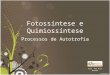 Fotossíntese e Quimiossíntese Processos de Autotrofia Prof. Ana Rita Rainho