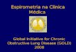 Espirometria na Clinica Médica Global Initiative for Chronic Obstructive Lung Disease (GOLD) 2008