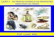 LIÇÃO 3 - AS PRAGAS DIVINAS E AS PROPOSTAS ARDILOSAS DE FARAÓ Prof. Lucas Neto