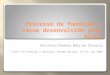Processo de fundição a vácuo desenvolvido pela Alcoa Ana Paula Niebuhr Maia de Oliveira Fonte: FS Fundição e serviços- Aranda editora- Nº114- jun 2002