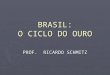 BRASIL: O CICLO DO OURO PROF. RICARDO SCHMITZ. PORTUGAL : SÉCULO XVIII VIDA ECONÔMICA DA COLÔNIA CENTRADA NO NORDESTE = CANA-DE-AÇÚCAR VIDA ECONÔMICA