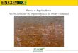 Pesca e Aquicultura Potencialidade do Agronegócio do Peixe no Brasil