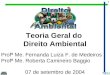 1 Teoria Geral do Direito Ambiental Profª Me. Fernanda Luiza F. de Medeiros Profª Me. Roberta Camineiro Baggio 07 de setembro de 2004